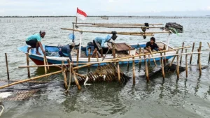 Profil Perusahaan yang Kantongi Sertifikat HGB di Laut Tangerang