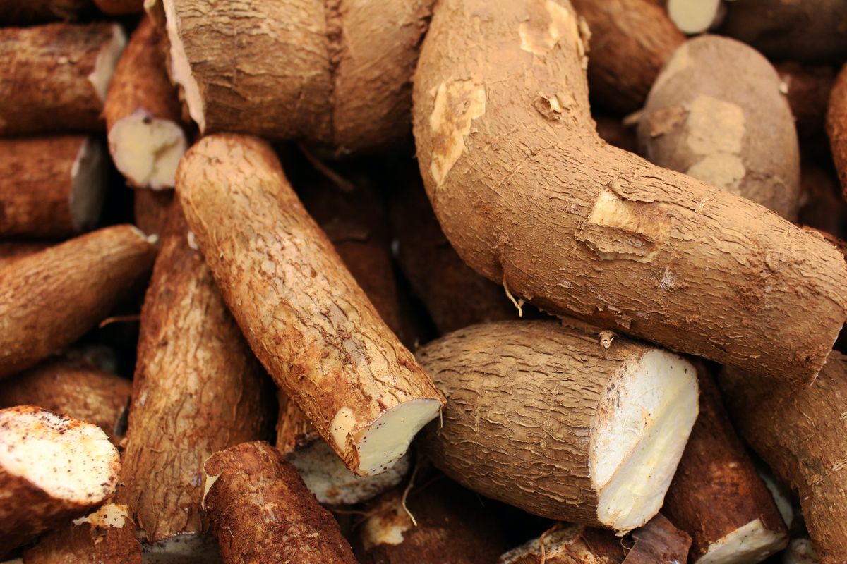 Permendag Terbaru Batasi Impor Etanol dan Singkong, Petani Lokal Sambut Positif